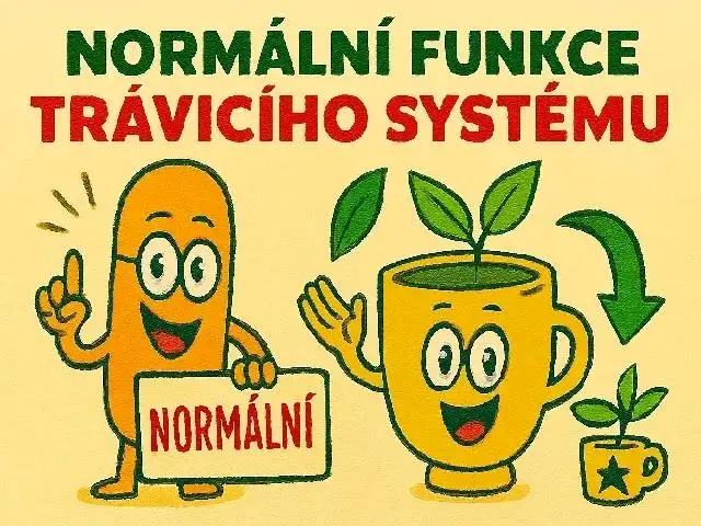 OK 3. Normální funkce trávení